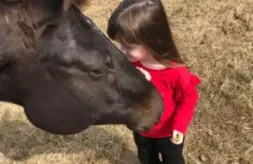 Amanda Martin Counseling; young child standing in front of horse; psychotherapy