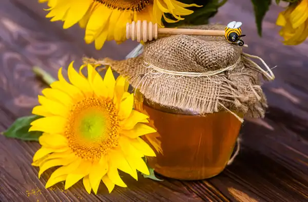 the blog; Benefits of Texas Local Honey