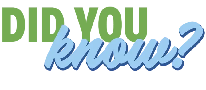 Graphic Services-Logo-Web Design Graphic Services; Did You Know text header